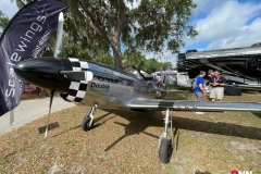 20250402-20250402-IMG_2959