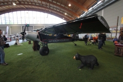 Shock cub with 912ULS