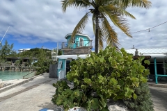 Exploring the Bahamas!